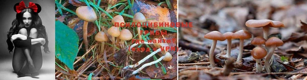 бутират Волосово