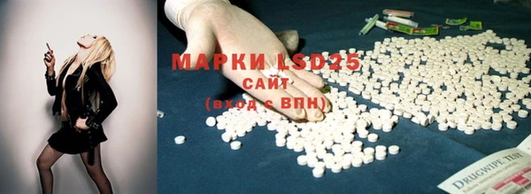 спиды Вязьма